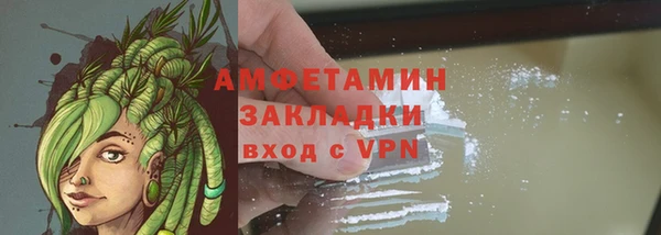 амф Алексин