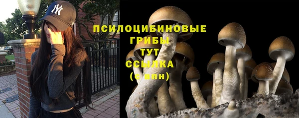 амф Алексин