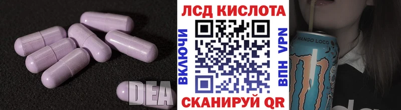 кракен ССЫЛКА  что такое наркотик  Аргун  LSD-25 экстази ecstasy 