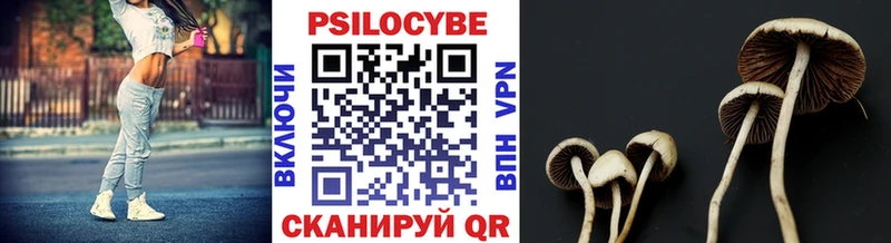 Псилоцибиновые грибы мицелий блэк спрут tor Аргун где можно купить наркотик
